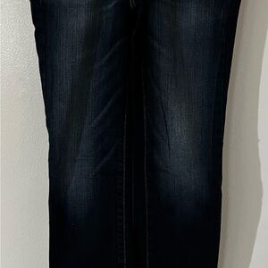 American Eagle Outfitters Dark Wash Skinny Jeans